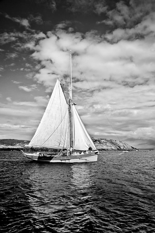 Summer Photograph - Traditional working boat by Gary Eason