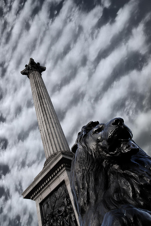London Photograph - Trafalgar Square London by Mark Rogan