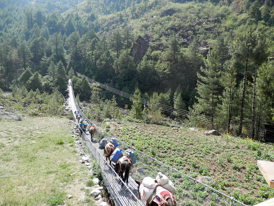 Traffic Jam on Trekking Route Photograph by Pema Hou