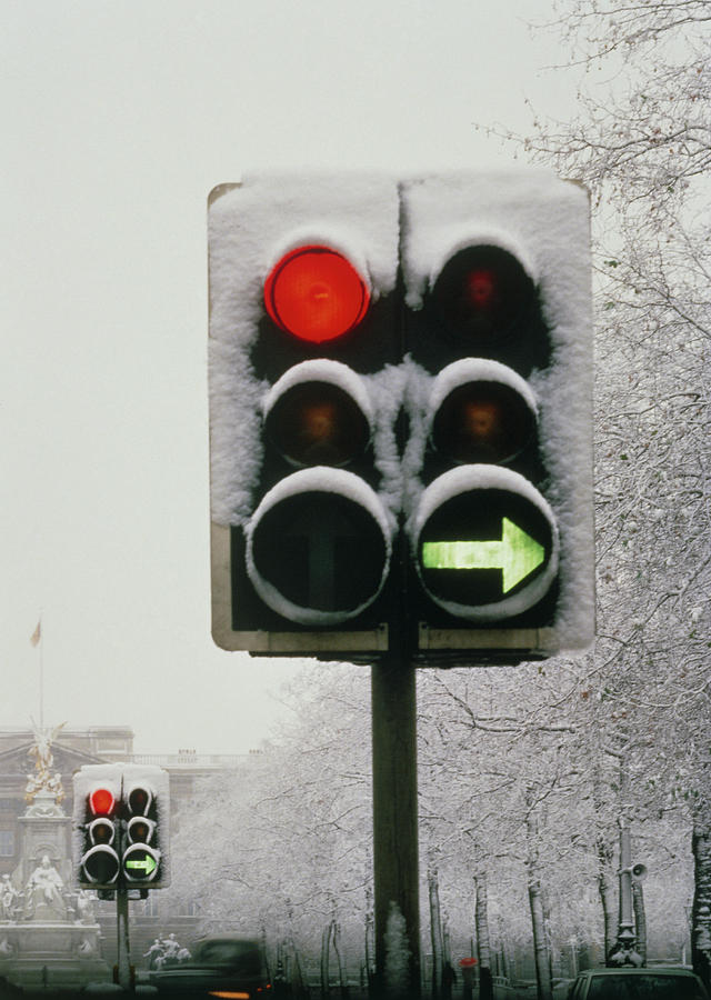 Traffic Lights Photograph by Phil Jude/science Photo Library