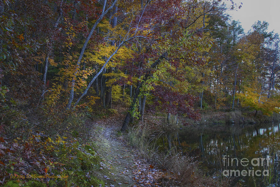 Fall Photograph - Trail along the Sloppy Floyd Lake by Barbara Bowen