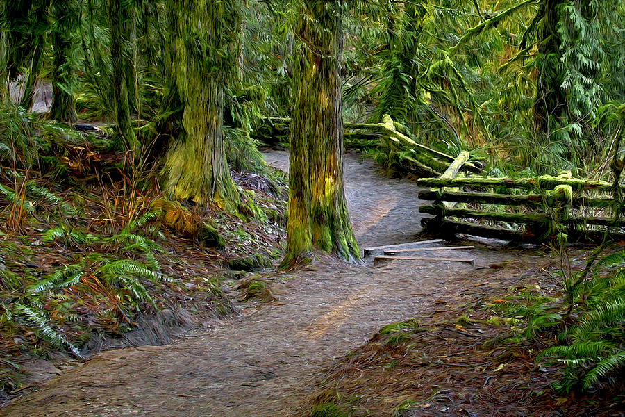 Trail at Cliff Falls Digital Painting Photograph by Sharon Talson