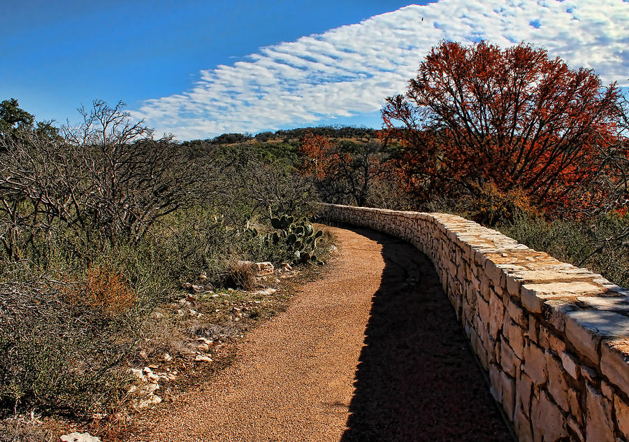 Austin Photograph - Trail at Reimers Ranch by Judy Vincent