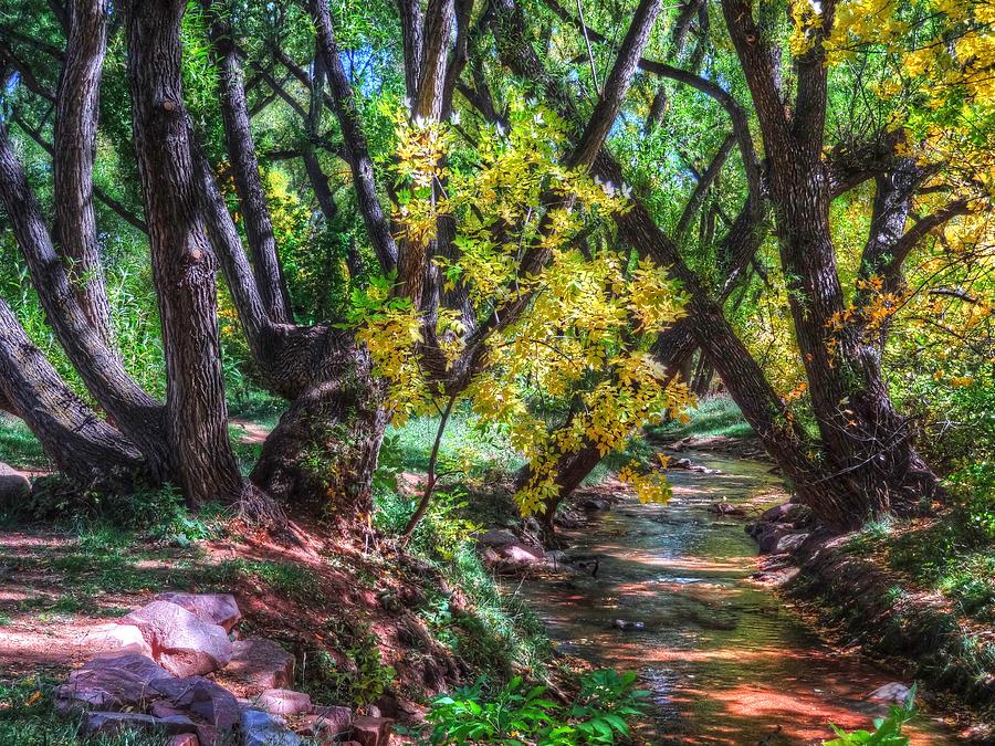 Trail by Fountain Creek Late Summer Photograph by Lanita Williams