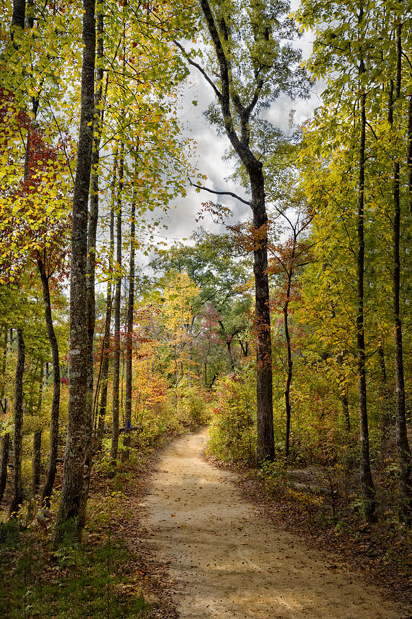 Fall Photograph - Trail in Autumn by Debra and Dave Vanderlaan