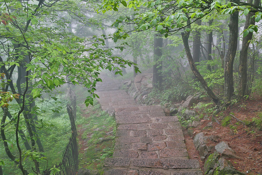 Anhui Photograph - Trail In Fog, Yellow Mountains A Unesco by Darrell Gulin