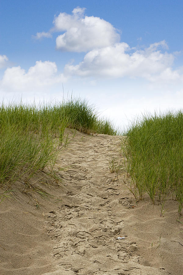 Summer Photograph - Trail over the dune to the Summer Beach by Randall Nyhof