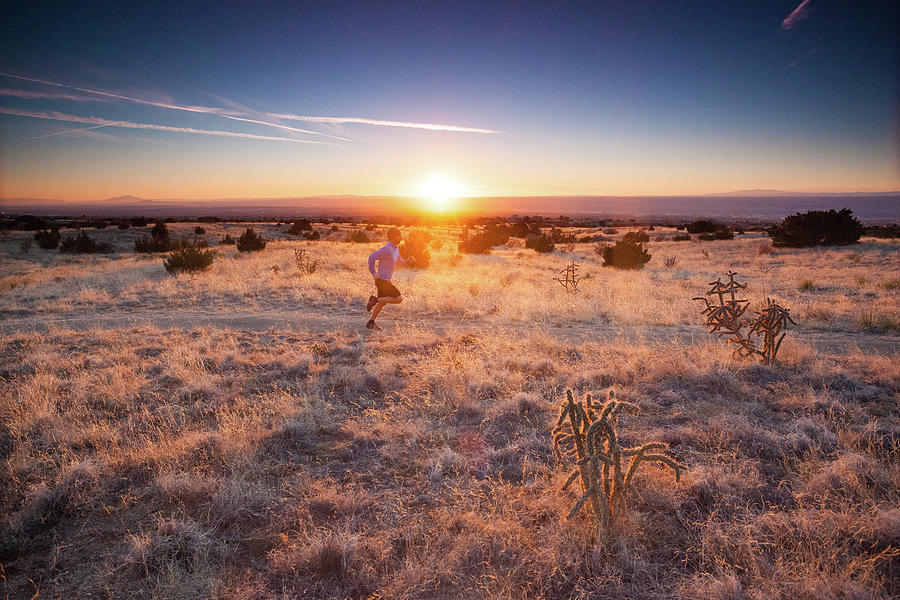 Nature Photograph - Trail Running by Amygdala imagery