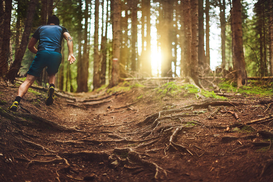Trail running in the forest Photograph by Piola666