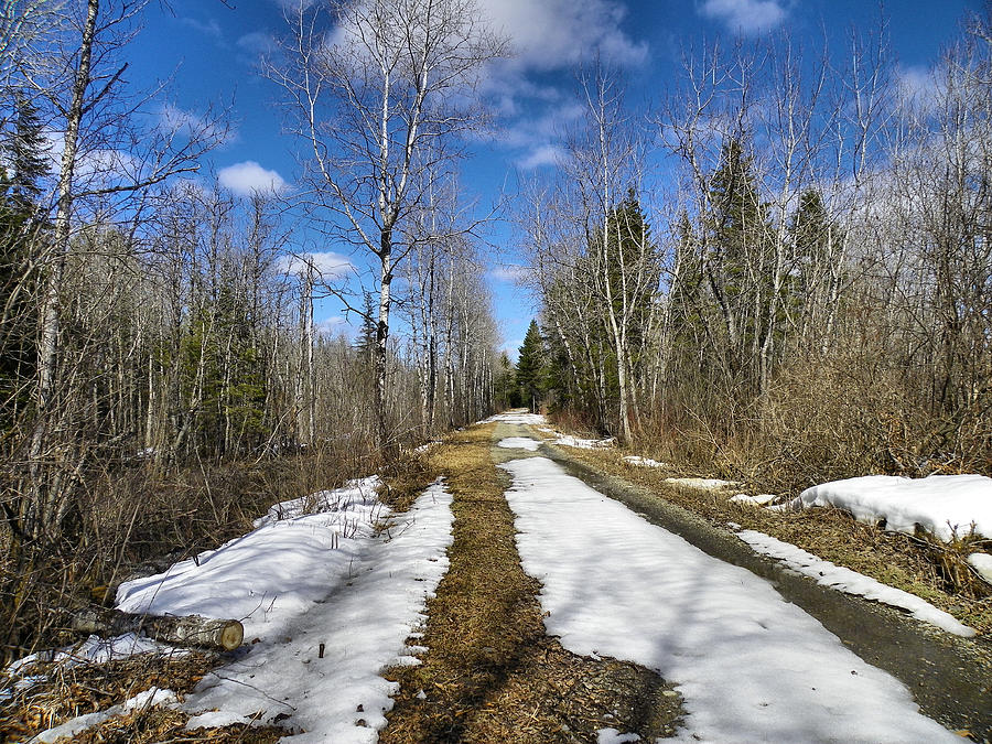 Trail Thaw Photograph By Gene Cyr - Fine Art America