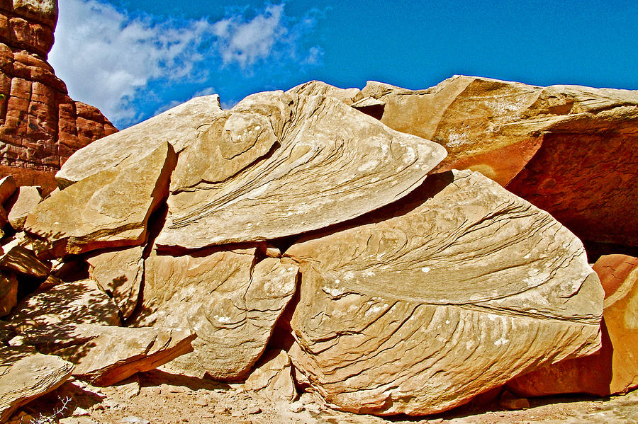 Giant Shells onTrail to Chesler Park Viewpoint in Needles District of Canyonlands National Park-Utah Photograph by Ruth Hager