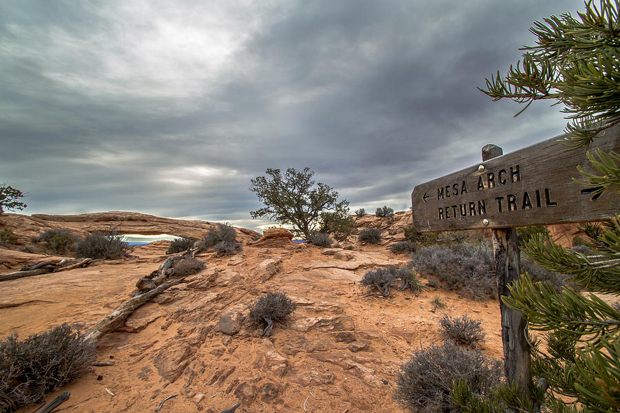 Trail To Mesa Arch Photograph