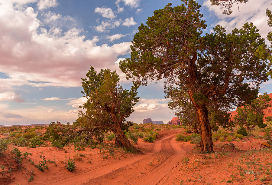 Landscape Photograph - Trail to Mystery Valley by Tim Bryan