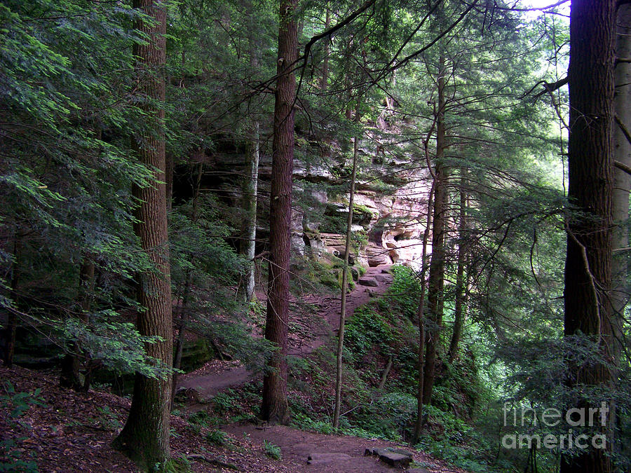 Tree Photograph - Trail to Rock House by Charles Robinson