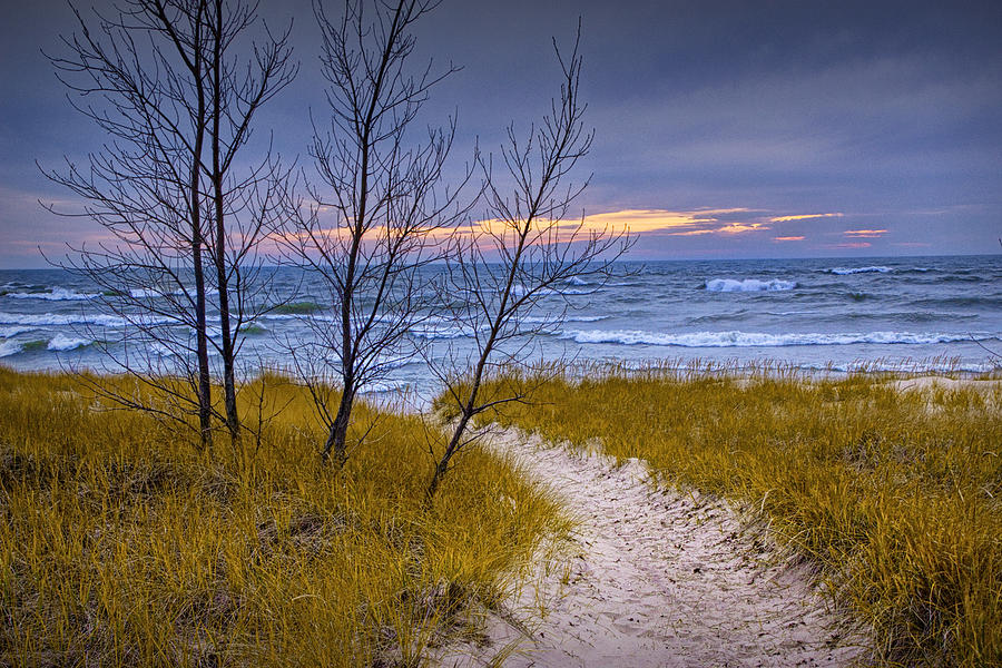 Trail to the Beach Photograph by Randall Nyhof