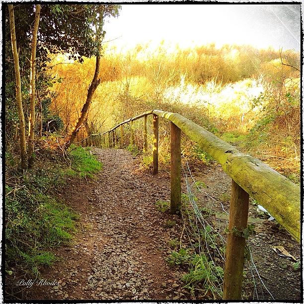 Nature Photograph - Trailhead In Hartshill Hayes Country by Polly Rhodes