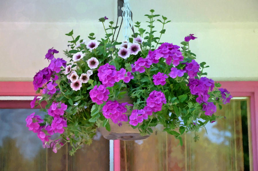 Spring Painting - Trailing petunia flowers in a hanging basket by Jeelan Clark