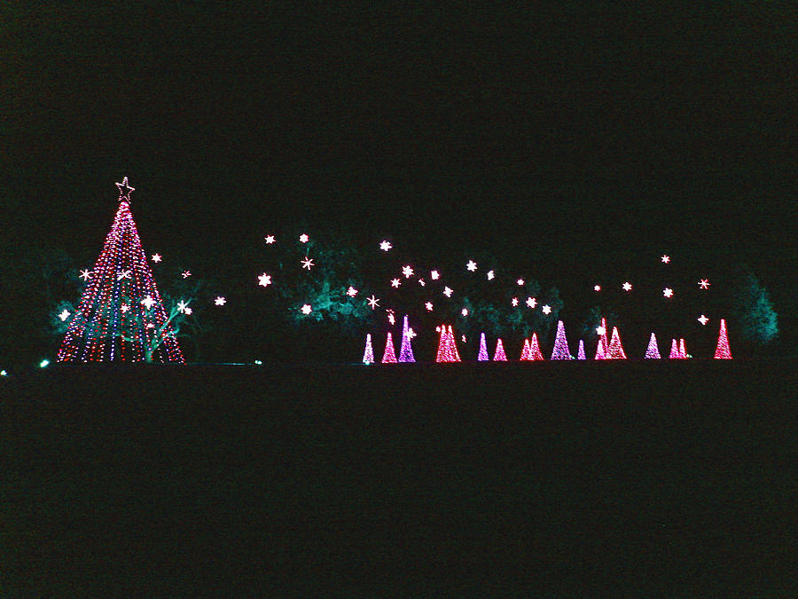 Trailing Snowflakes Photograph by Marian Bell Fine Art America