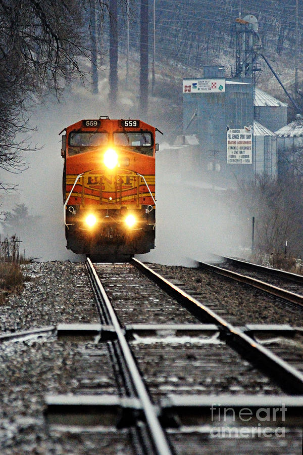 Train at Alma WI Photograph by Larry Ricker