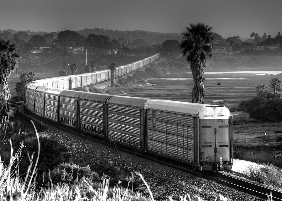 Train at San Elijo Lagoon Photograph by Dusty Wynne