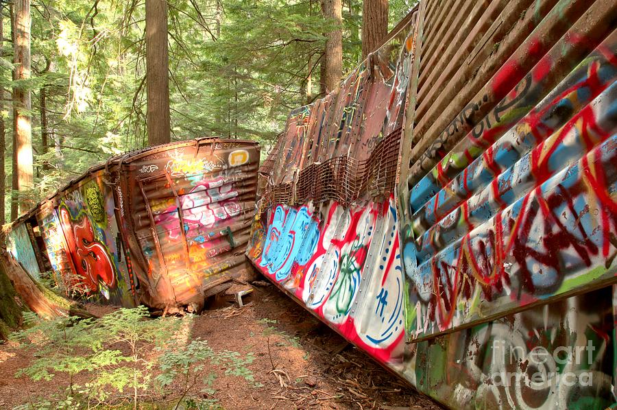 Train Box Cars In The Woods Photograph by Adam Jewell