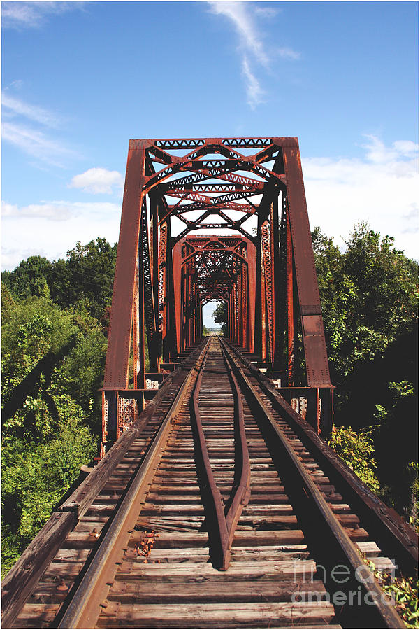 Nature Photograph - Train Bridge by Shanna Vincent