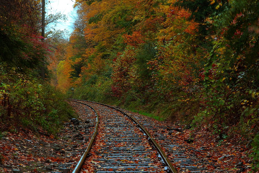 Train Fall Photograph by Andrea Galiffi