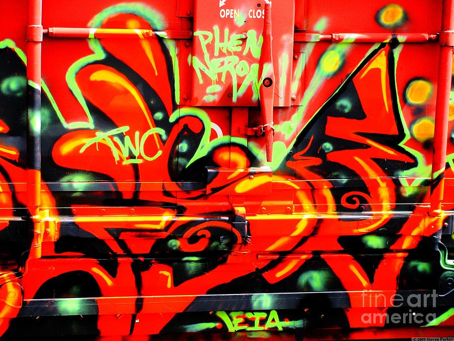 Transportation Photograph - Train Graffiti by Steven Parker