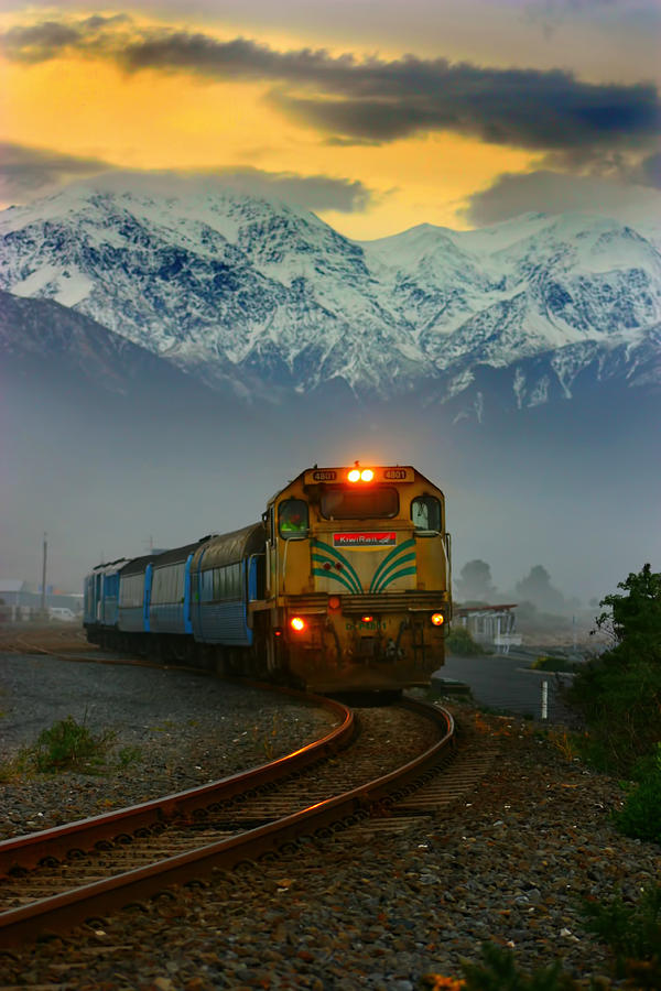 Train Photograph - Train in New Zealand by Amanda Stadther