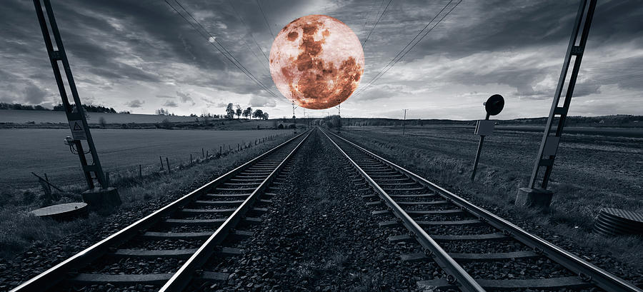Train Journey Into Nowhere Photograph by Christian Lagereek