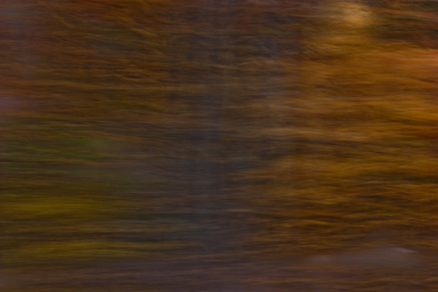 Train Ride I Photograph by Claus Siebenhaar