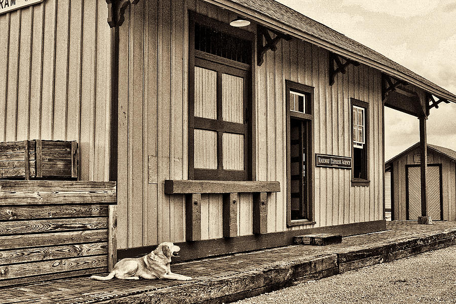 Train Station Bertram Texas Photograph by Linda Phelps