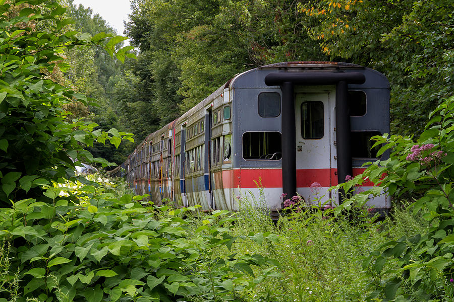 Train to Nowhere  Photograph by Marzena Grabczynska Lorenc