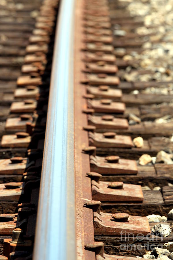 Train Track Photograph by Henrik Lehnerer