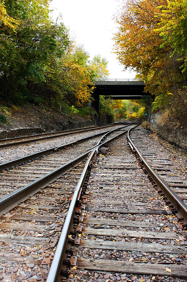 Train Tracks and Bridge in Autumn Photograph by Ellen Tully