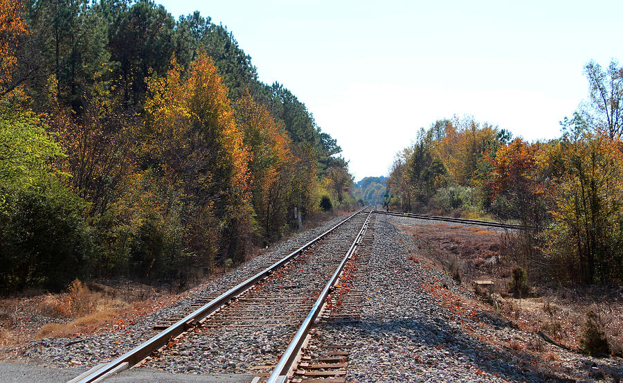 Train Tracks Photograph by Cynthia Guinn