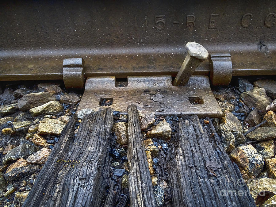 Train Tracks Photograph by Melissa Messick
