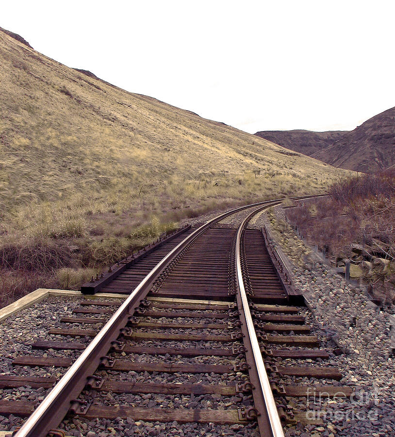 Train Tracks Photograph by Robert Bales