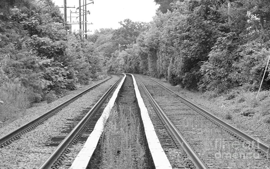 Black And White Photograph - Train Tracks Running Through The Forest by John Telfer