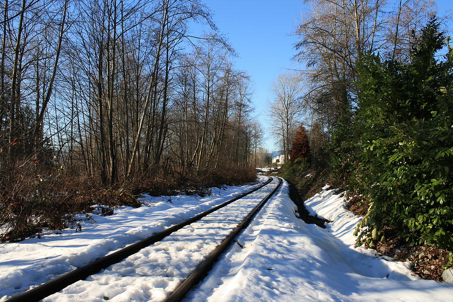 train tracks by Stefan Kaertner train tracks by Stefan Kaertner