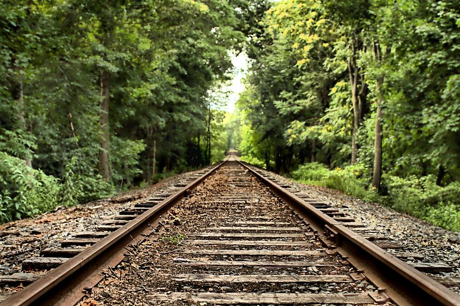 Train Tracks Through The Trees Photograph By Frederick Schmitt - Pixels