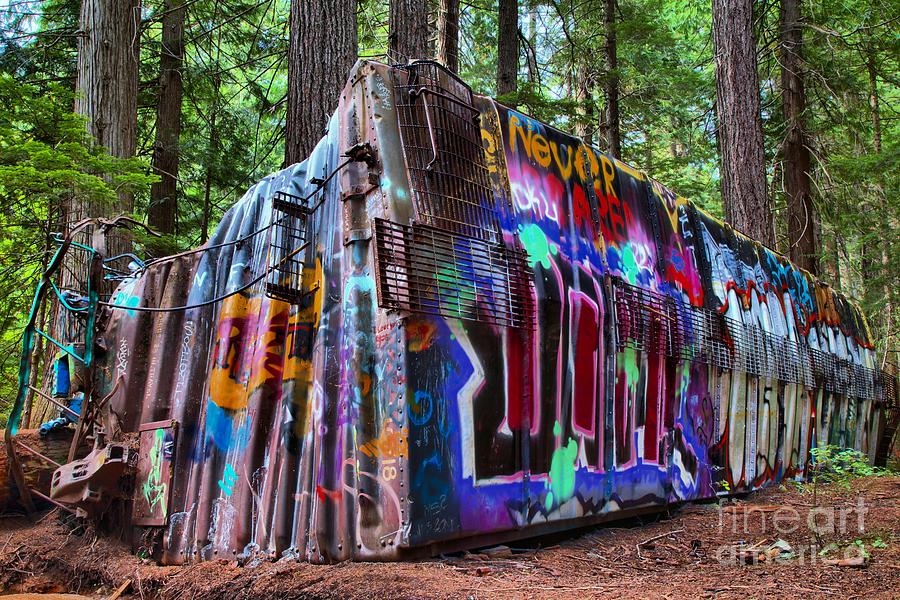 Train Wreck Art In The Forest Photograph by Adam Jewell
