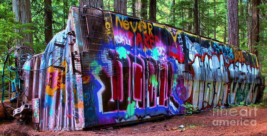Train Wreck Art In The Woods Photograph by Adam Jewell
