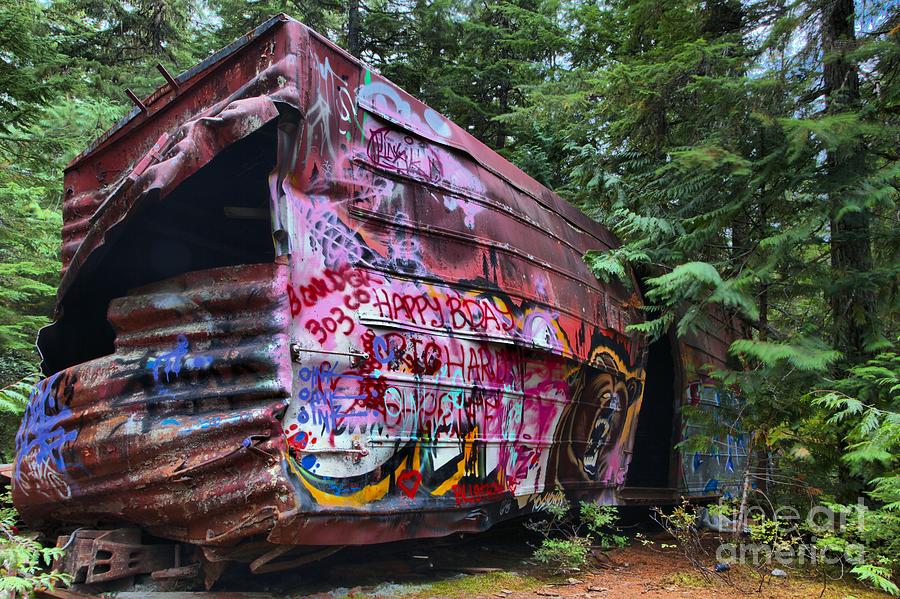Train Wreck Bursting Out Of The Forest Photograph by Adam Jewell