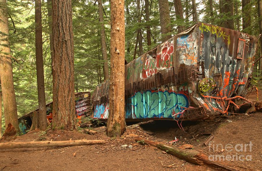 Train Wreck Canvas Among The Trees Photograph by Adam Jewell