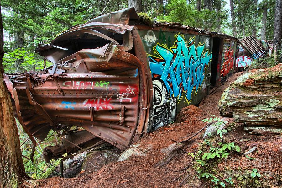 Train Wrecked In The Trees Photograph by Adam Jewell