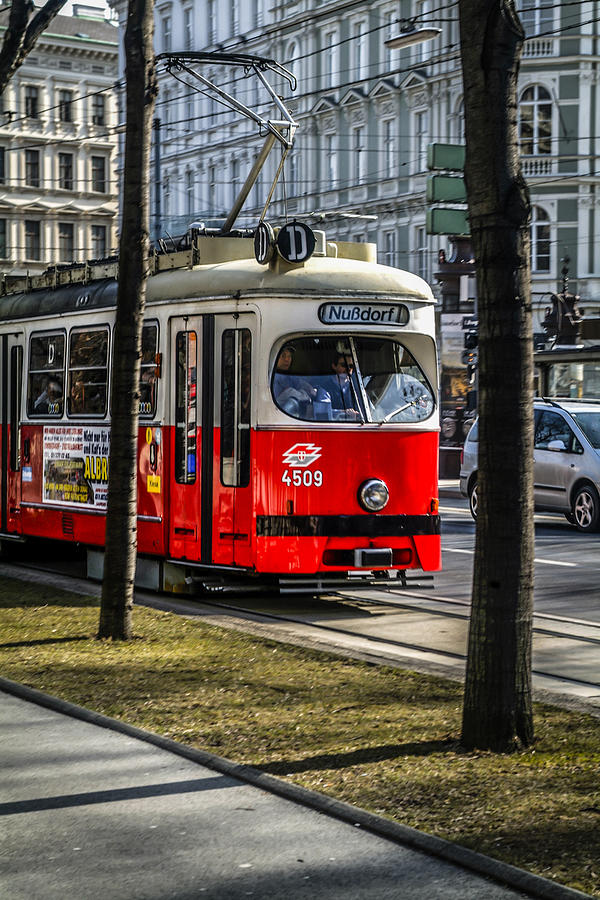 Trams in Vienna Photograph by Chris Smith