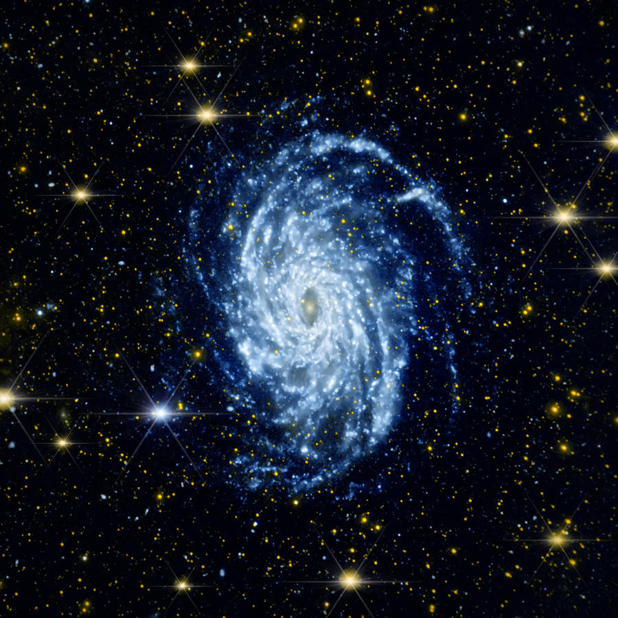 Trance - Spiral Galaxy Photograph by Jennifer Rondinelli Reilly - Fine Art Photography