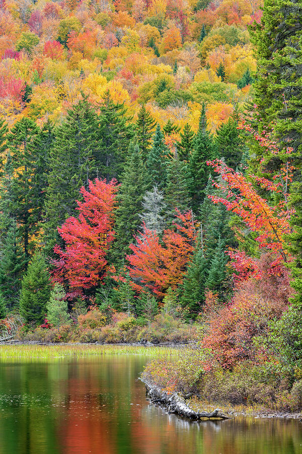 Tranquil Autumn Scene Of Lake In Forest Photograph by Jerry Monkman ...