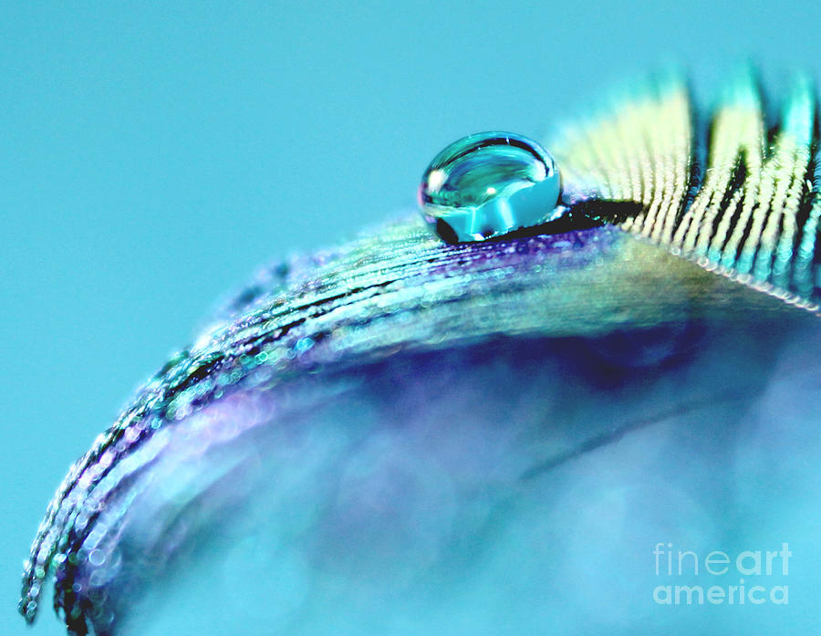 Peacock Photograph - Tranquil Blue by Krissy Katsimbras